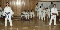 mb061214044.jpg