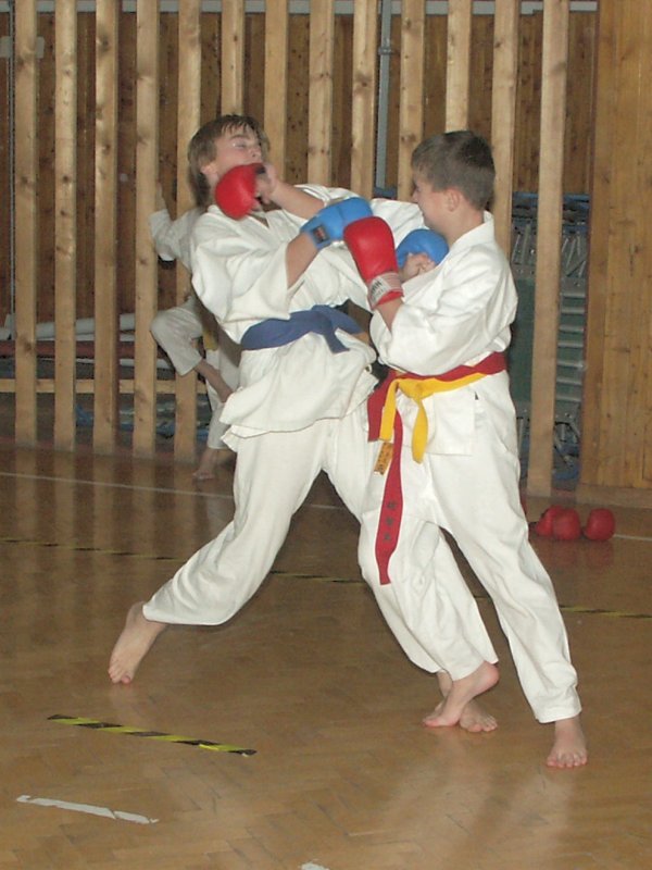 mb061214074.jpg