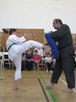 ml110430009.jpg