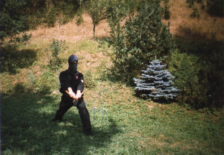 mf_k13.jpg