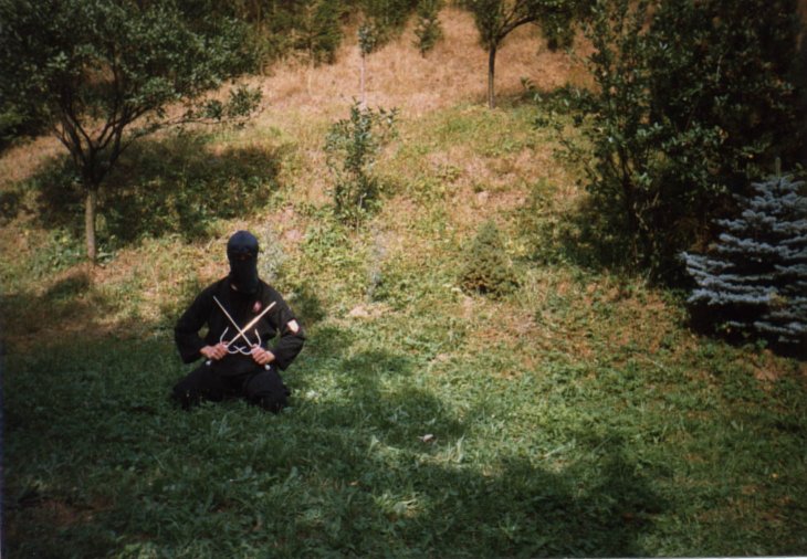 mf_k5.jpg