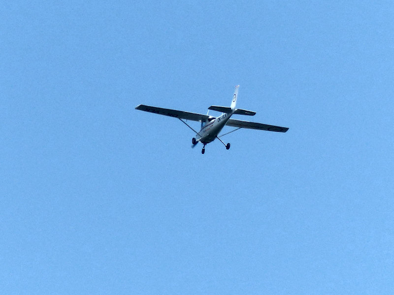 mb180726009.jpg